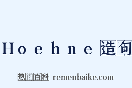 Hoehne造句是什么意思的图片